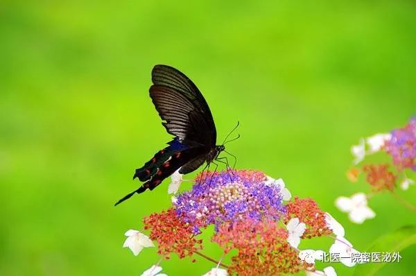 你的身价能值多少钱,你的身价是多少钱