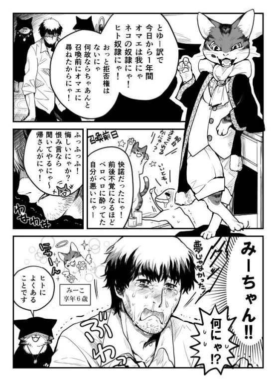 猫：为什么大家都来抢我的jio杯