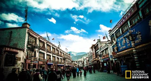 藏漂是什么,藏漂的真实生活