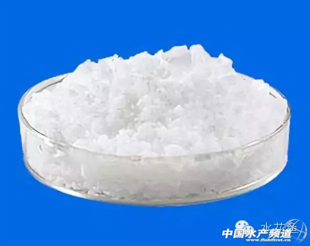 赤皮烂鳃病怎么治疗,细菌性烂鳃病用什么外用药