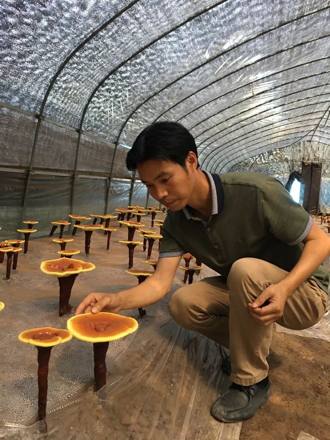 从农村出来的科学家,从乡村走出来的科学家