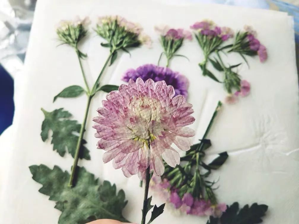 永生花diy手工,1700块的永生花