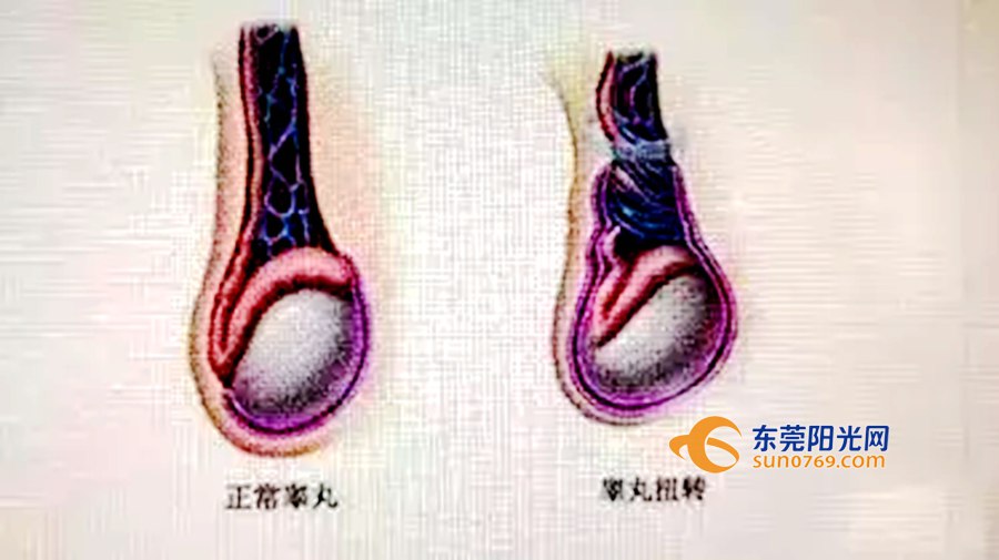 青少年反复疼痛怎么回事,12岁小孩关节酸痛是什么原因