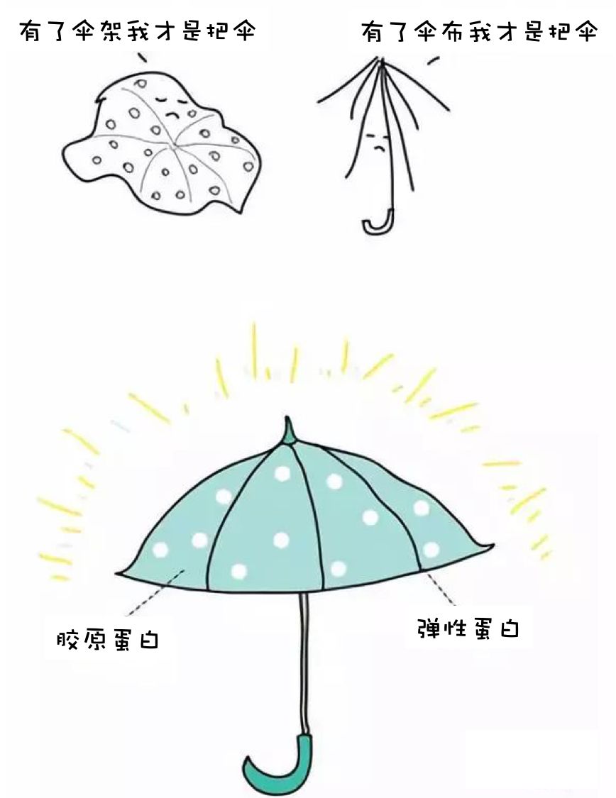 淡化眼纹的眼霜推荐哪款,一款真正淡眼纹的眼霜