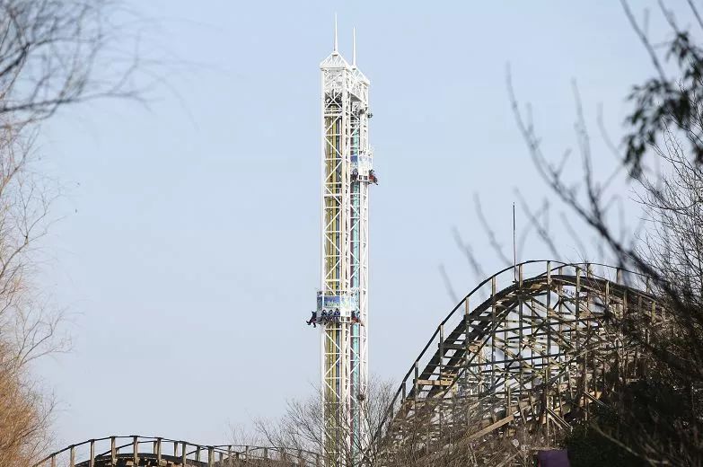 少女心炸裂！松江『蝴蝶节』来啦！（内有女生专属超多福利）