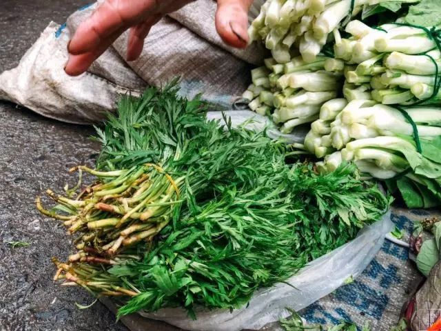 宿州野菜,挖野菜的视频火了