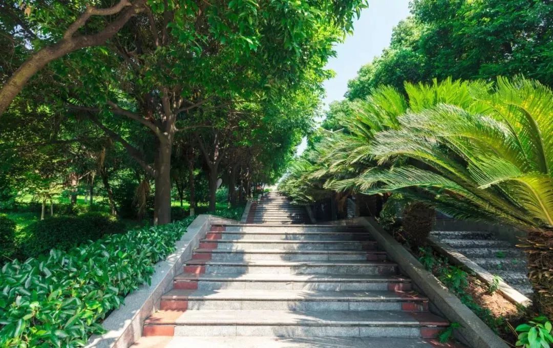 “重马”来啦！在沙坪坝的春天里应这样度过