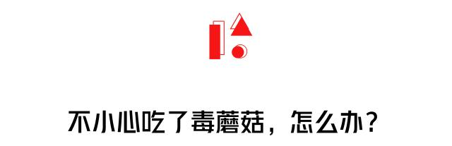 2017毒蘑菇中毒指南,广东进入毒蘑菇高发季节