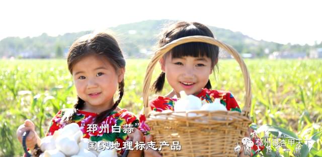 邳州这些农产品品牌在省里上榜！你肯定吃过！