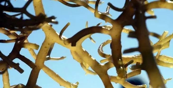 最好的祛皱眼霜,真正祛皱的眼霜