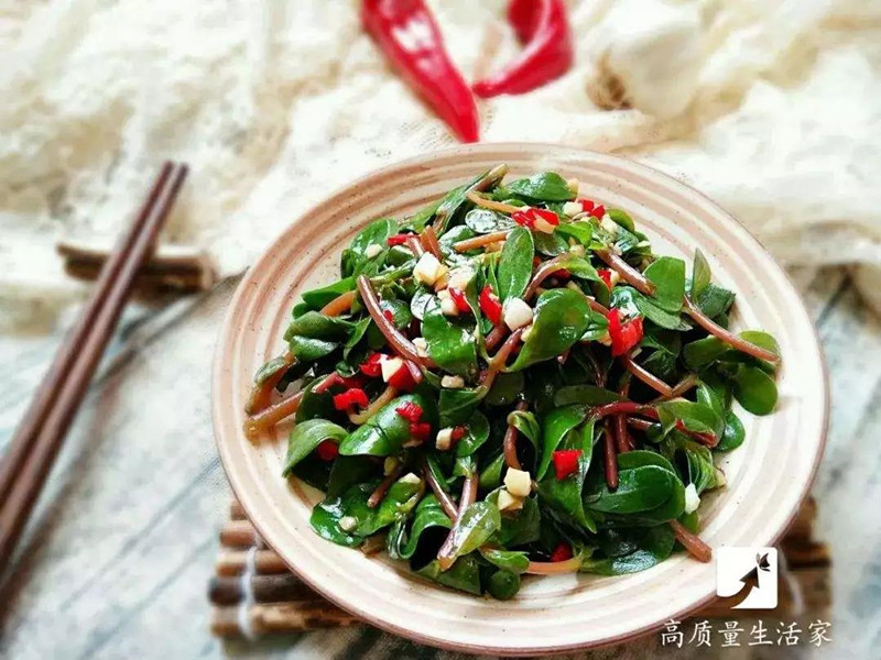 春天里要吃的四大黄金野菜,春天不可辜负的六种野菜