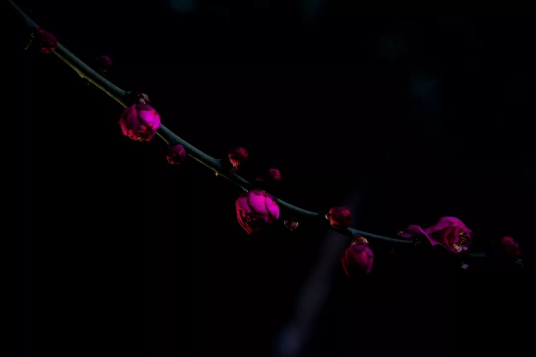 腾讯、联通、新东方都准备来华师“抢人”,本周就业讲座通知汇总,赶紧安排一下!