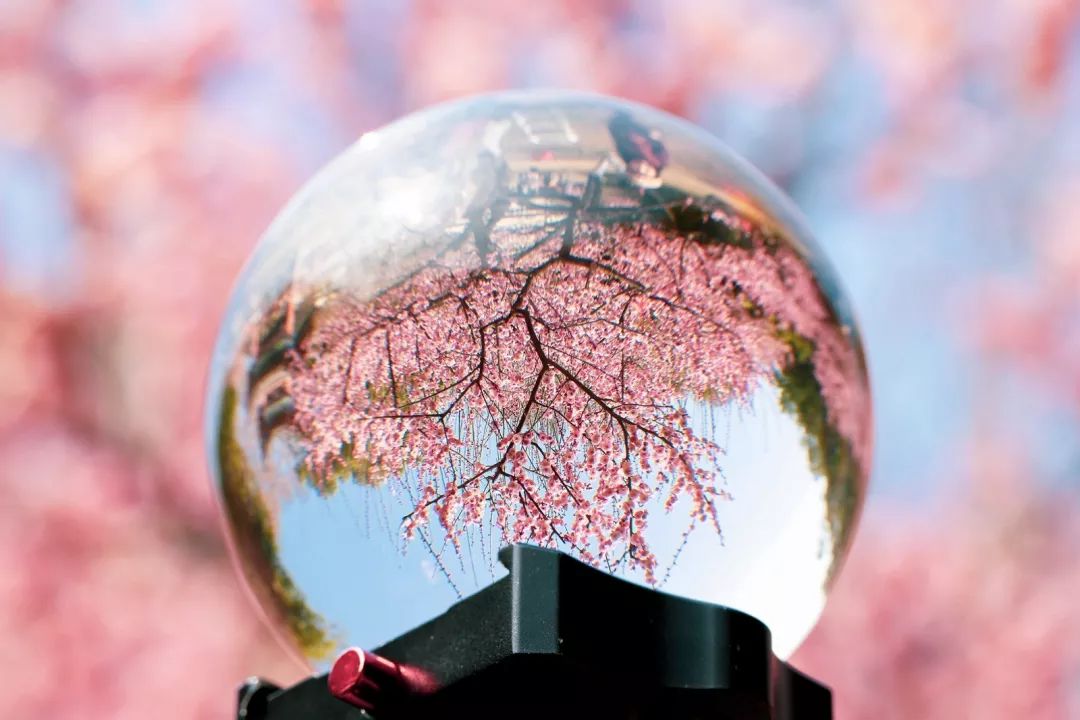 腾讯、联通、新东方都准备来华师“抢人”,本周就业讲座通知汇总,赶紧安排一下!