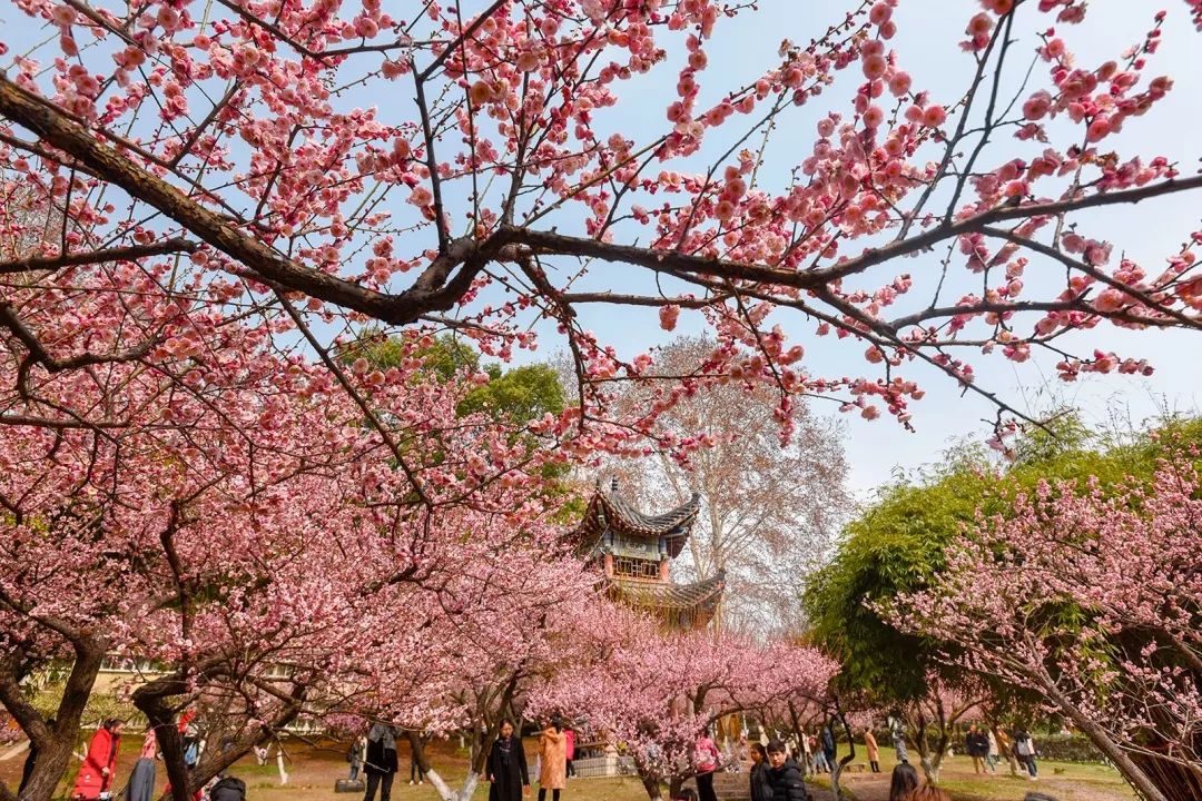 腾讯、联通、新东方都准备来华师“抢人”，本周就业讲座通知汇总，赶紧安排一下！