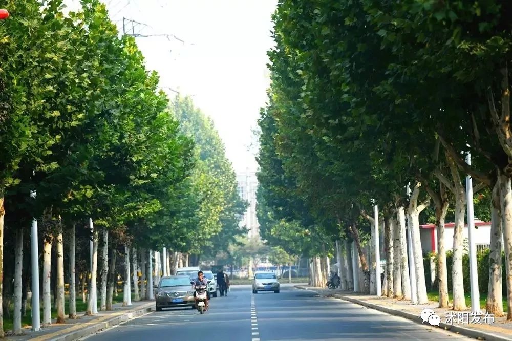 2019年沭阳县新消息,沭阳未来三年的发展