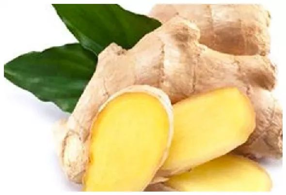 苏菲娜防晒霜控油,日本苏菲娜防晒测评