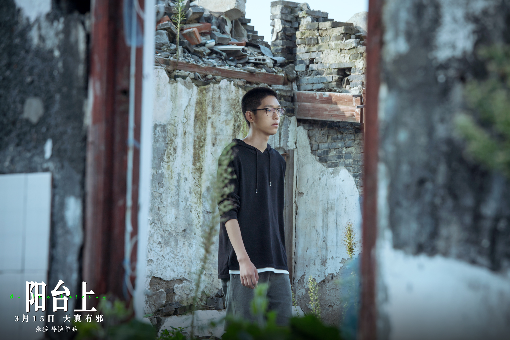 周冬雨金马影片,周冬雨和王锵发布会