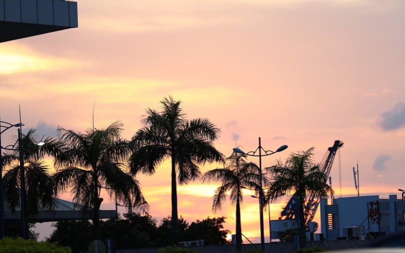 电商法对代购的影响,电商法对商家的保护