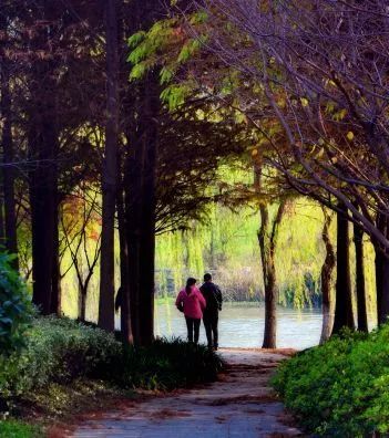 好消息！健康路市民体育公园年内将建成开放！今年镇江还有这些体育“大事”值得关注