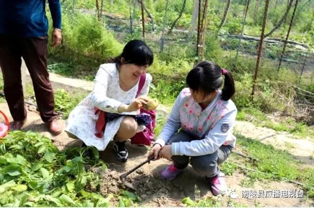 南陵旅游景区,南陵春游打卡点