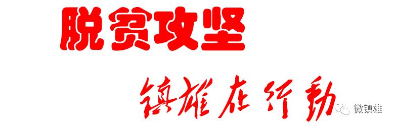 镇雄以古岩洞脚村一共有几户,村民光荣榜