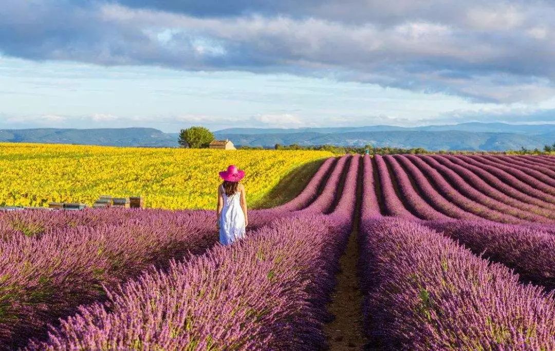 淮北市最值得去的旅游景点,淮北旅游胜地
