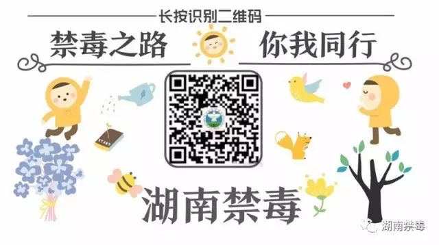 陈浩：“刀尖”上的禁毒硬汉！