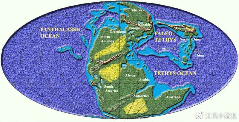 鸭嘴兽奇怪的地方在哪里,奇怪的鸭嘴兽