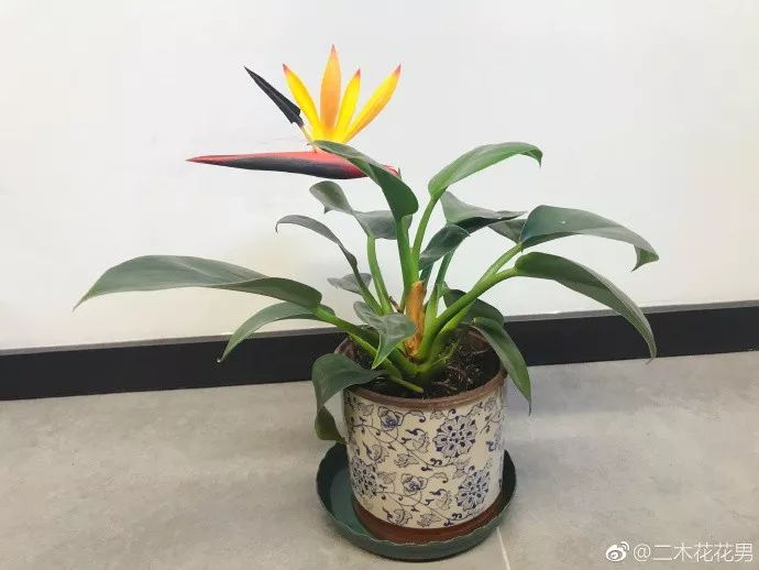 三个方法看透所有谎言,三个方法辨别谎言