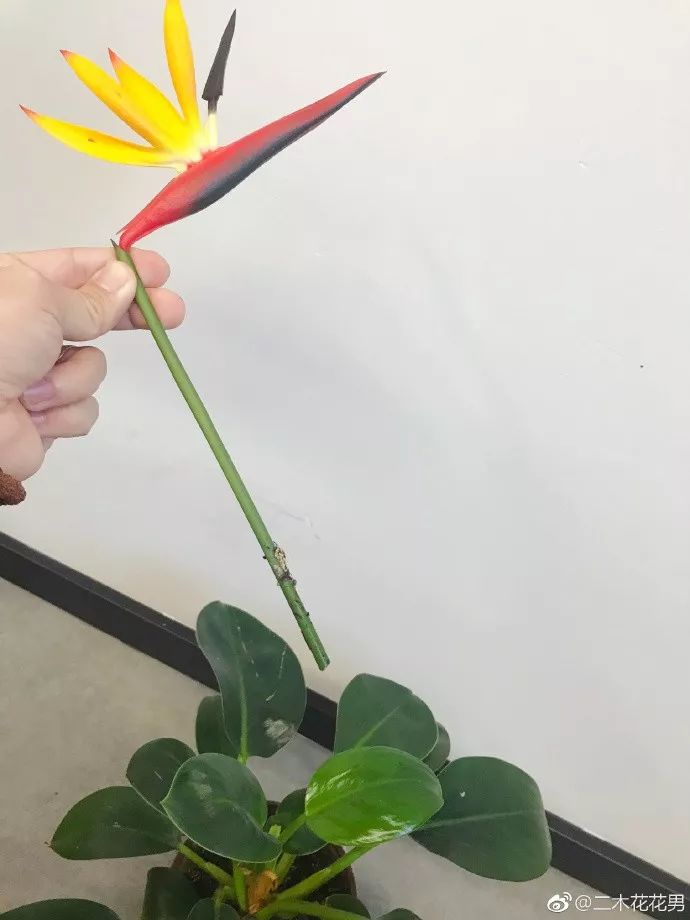 三个方法看透所有谎言,三个方法辨别谎言