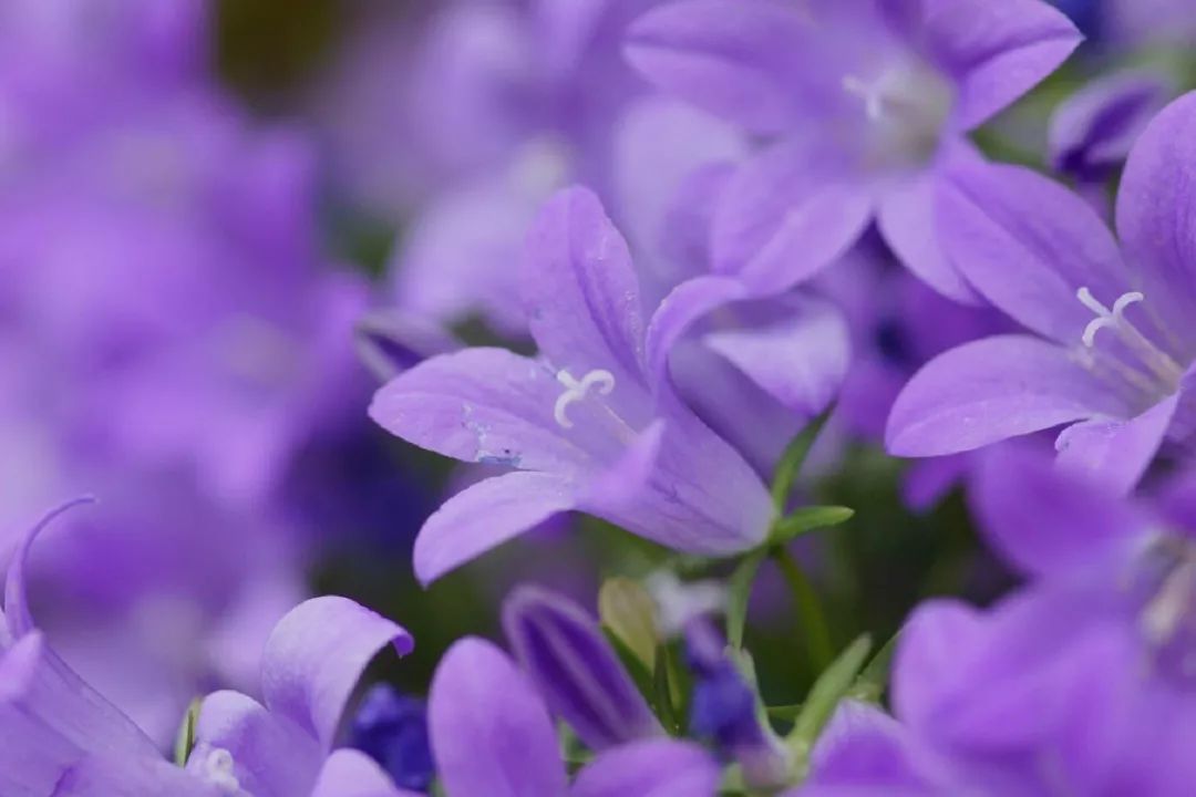 三个方法看透所有谎言,三个方法辨别谎言