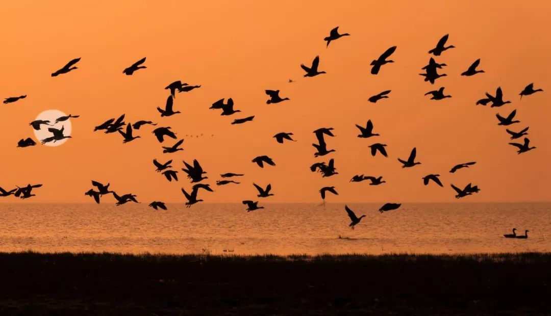 觊觎氤氲,觊觎氤氲圭臬80个生僻词语