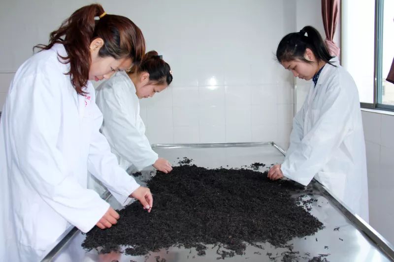 骄傲品牌系列产品,骄傲上饶