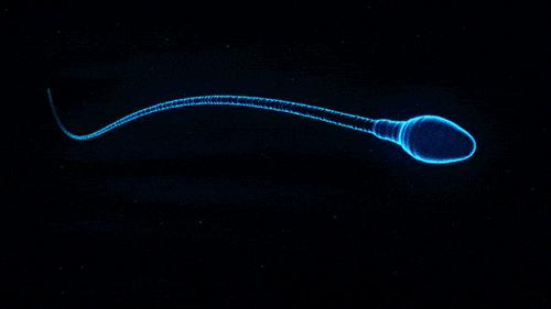 会呼吸的冰丝裤男装,会呼吸的男士休闲裤