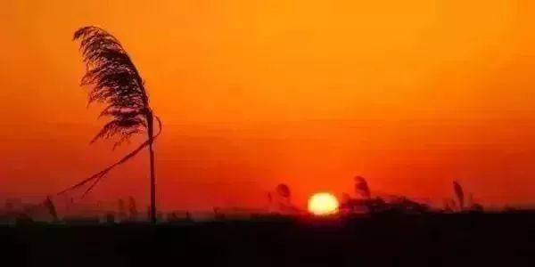 上海旅游景点一览表最新攻略,上海免费景点推荐穷游