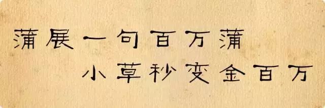 十几万一棵的多肉,一盆市价10万的多肉