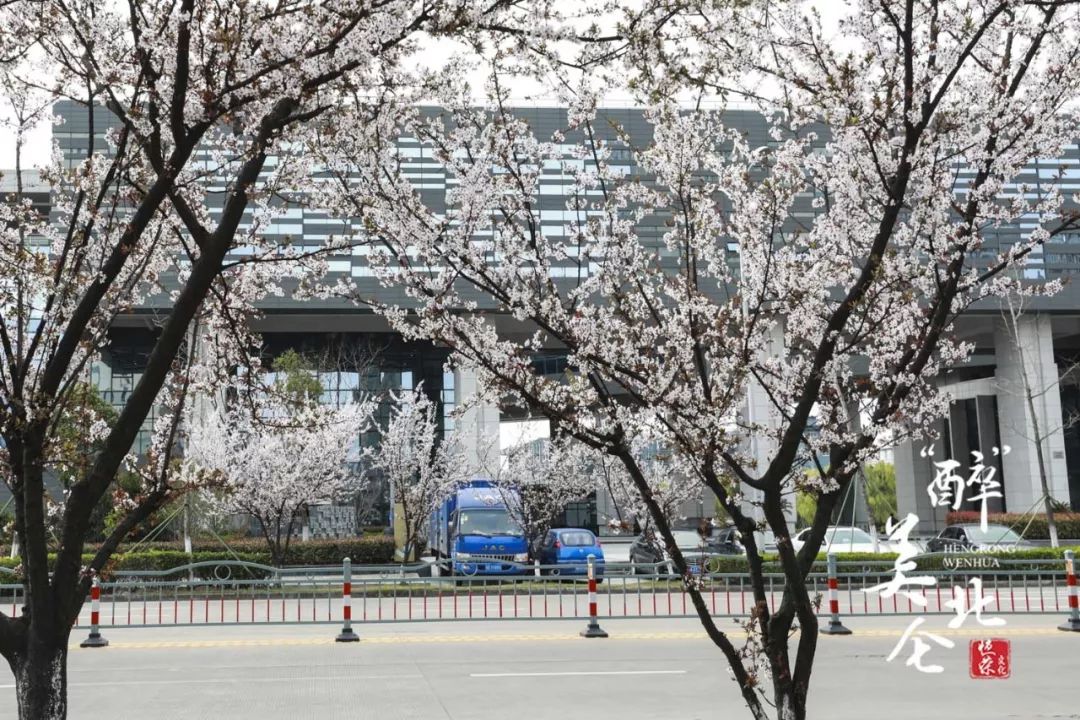 北仑清明游玩,下周北仑旅游景点