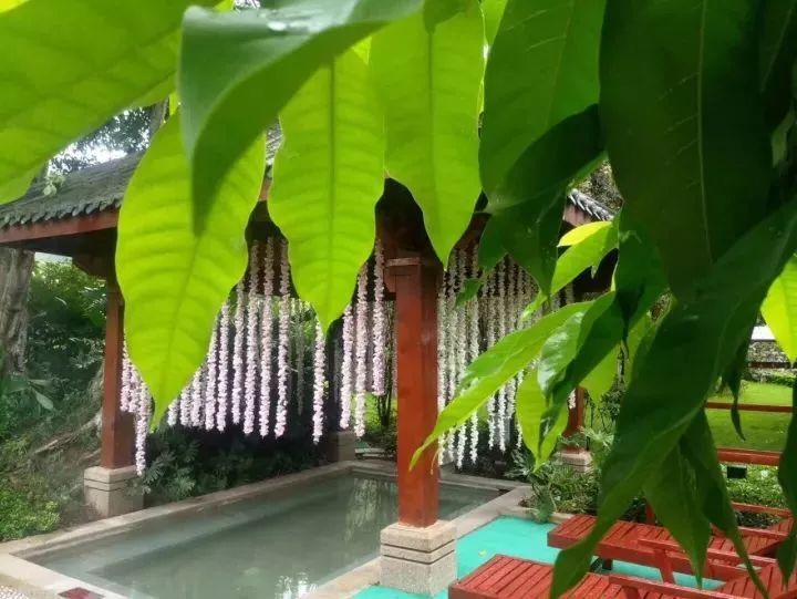 统景温泉除了泡温泉还可以干嘛,统景温泉游玩