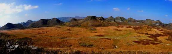 普定发生的事最新消息,普定最新消息