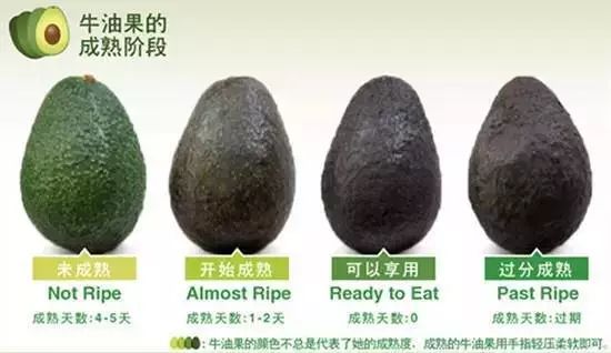 词语：牛油果的词语演进机器贩卖推销*局骗**