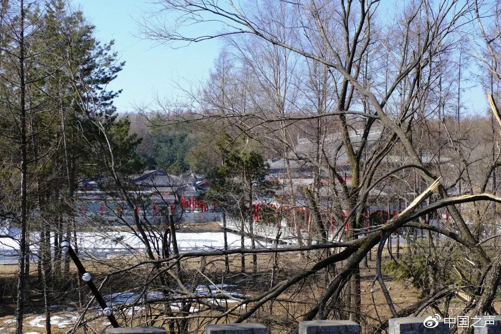 牡丹江违建私人庄园,牡丹江毁林庄园事件