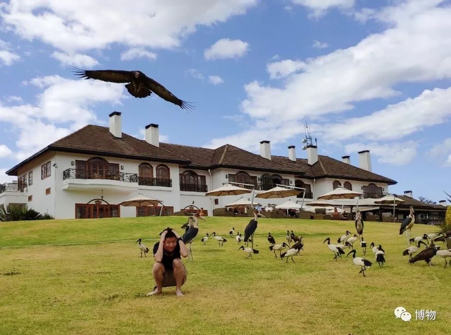 肯尼亚博物学之旅,博物肯尼亚