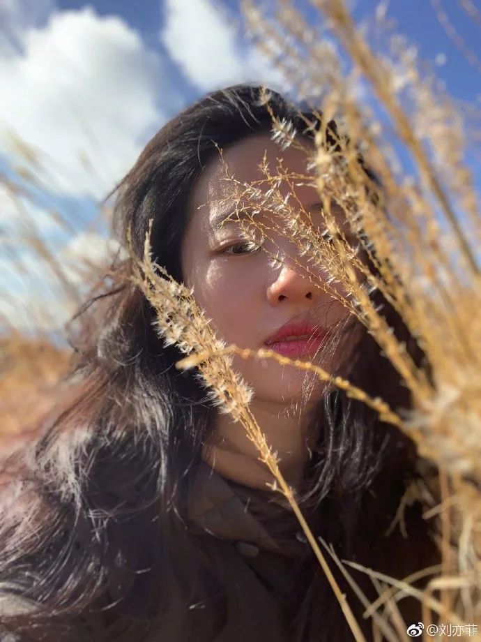 刘亦菲宋茜lv,刘亦菲宋茜哪个是lv全球代言人