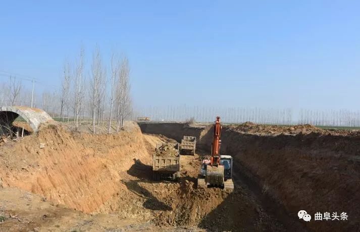 鑱氱劍涓夊啘绉嶆爲,鑱氱劍涓夊啘鑰曞湴