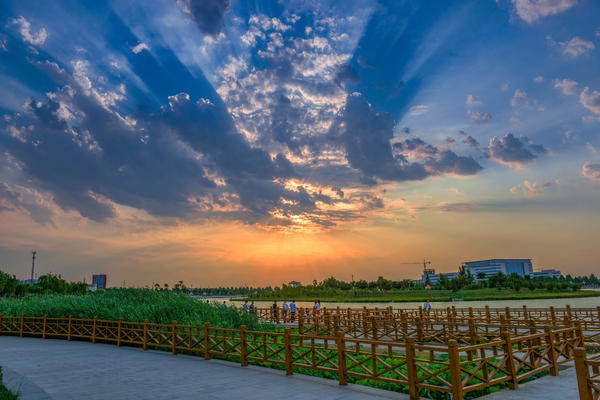 春游郑州这份赏花攻略请收好,郑州自驾踏青赏花好去处