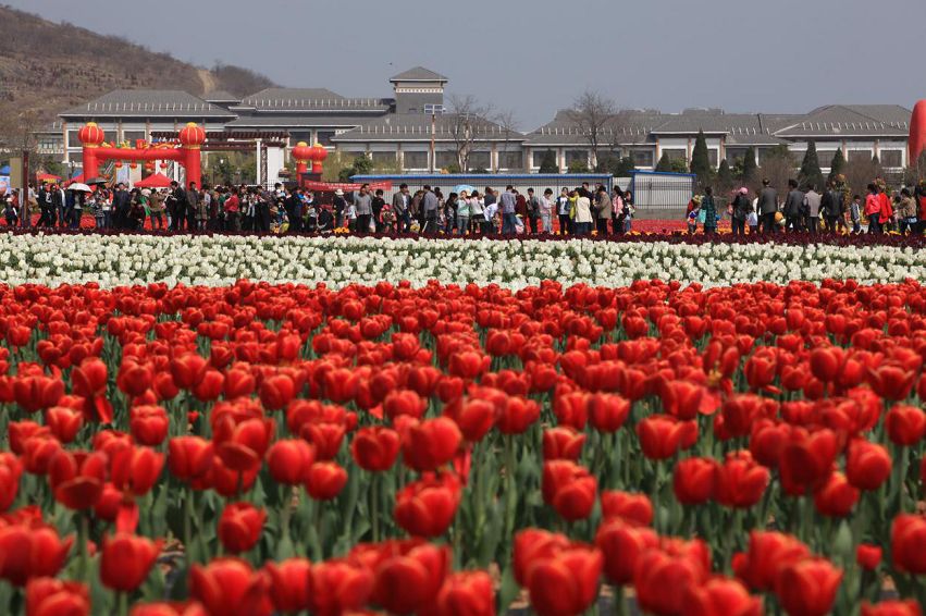 全城招募！中原银行首届汉服形象大使选拔开始啦！