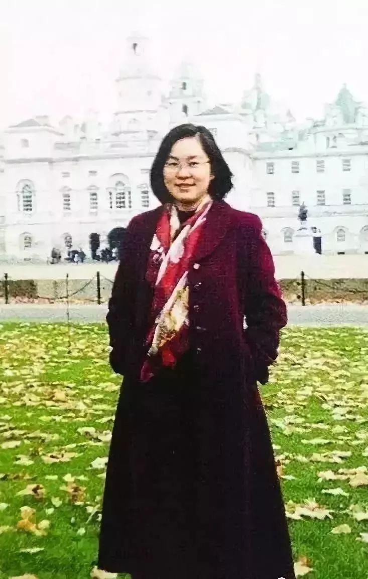 华春莹外交霸气回应,华春莹回应外交问题