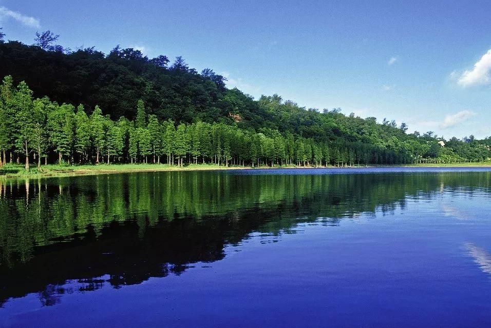 一月份湛江好去处,湛江适合几月份去