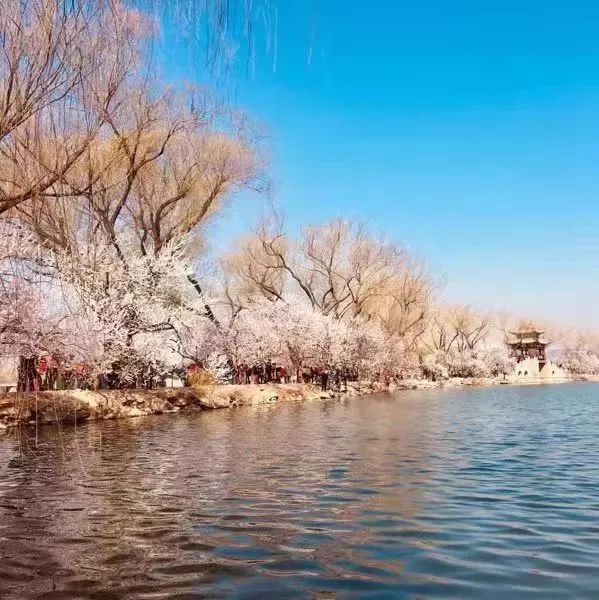 春天的美食家常菜谱,春天吃的菜单