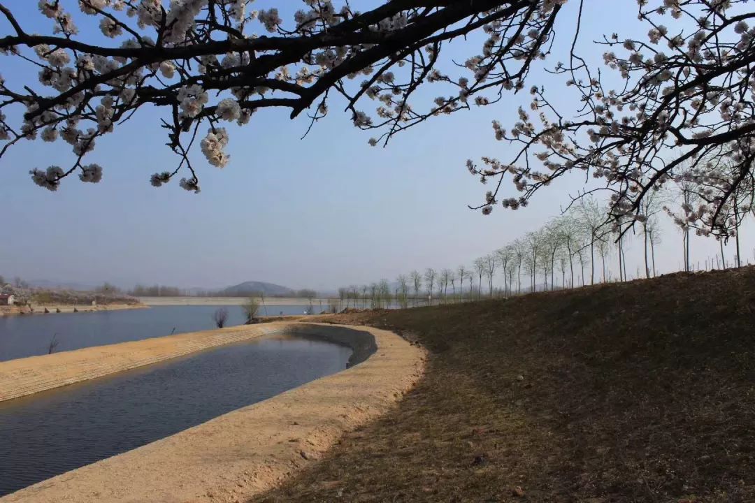 正当时莲花山踏青,莲花山赏花要预约吗